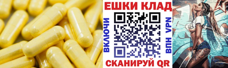 OMG как войти  Кашин  Ecstasy XTC  даркнет сайт 