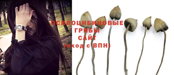 мяу мяу кристалл Аркадак