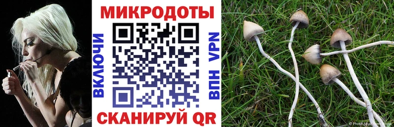 Галлюциногенные грибы мухоморы  Кашин 